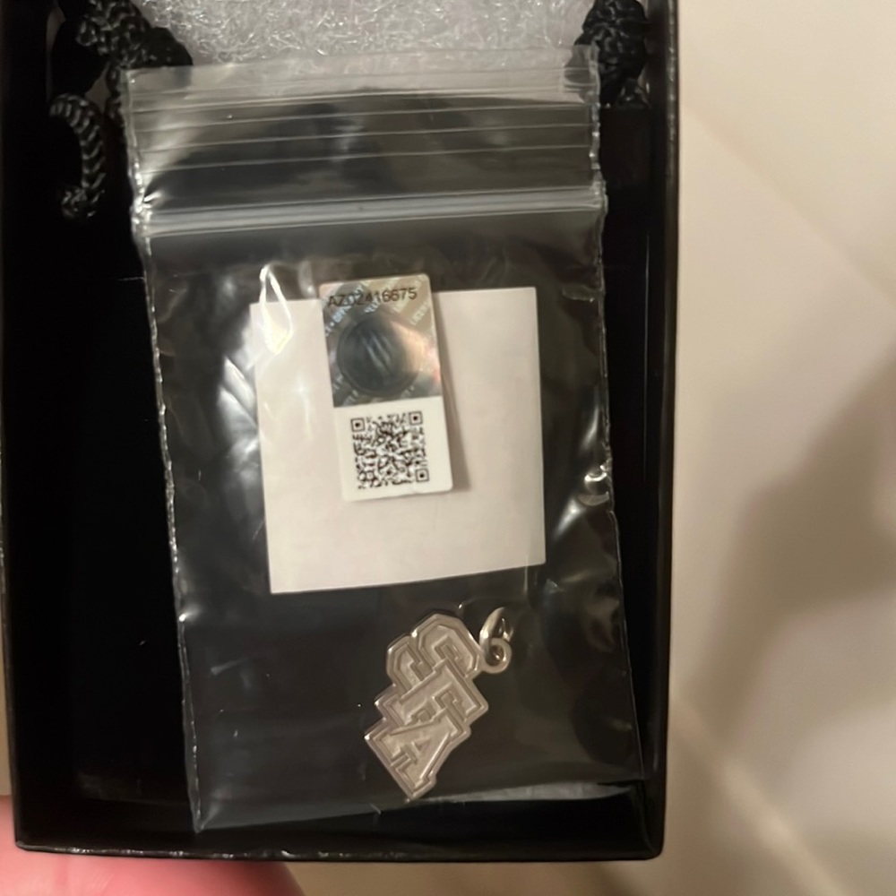 Stephen F Austin State University sterling silver charm